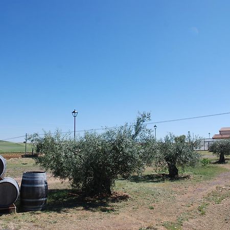 Casa Rural Teso De La Encina Villamor de los Escuderos Eksteriør bilde