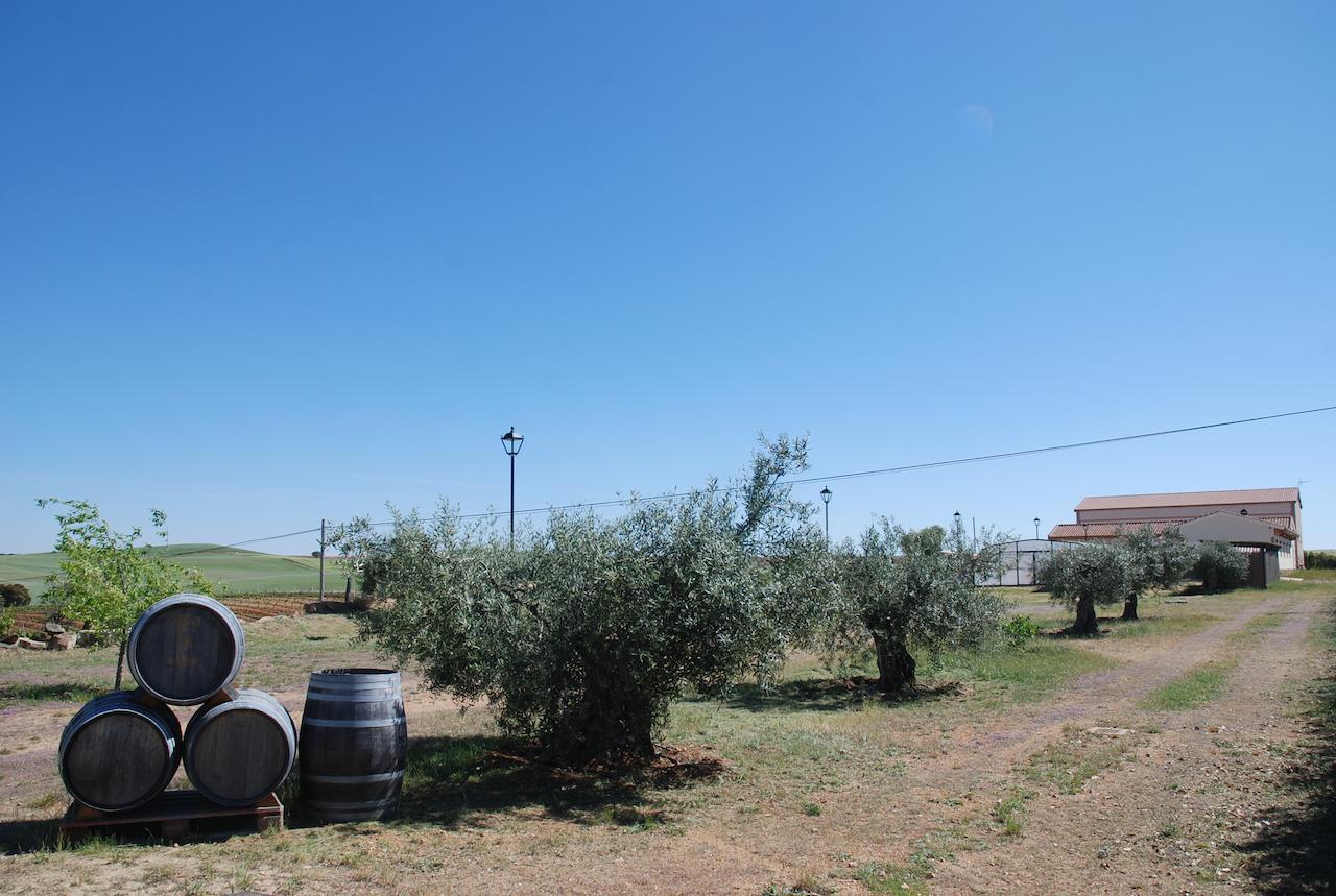 Casa Rural Teso De La Encina Villamor de los Escuderos Eksteriør bilde