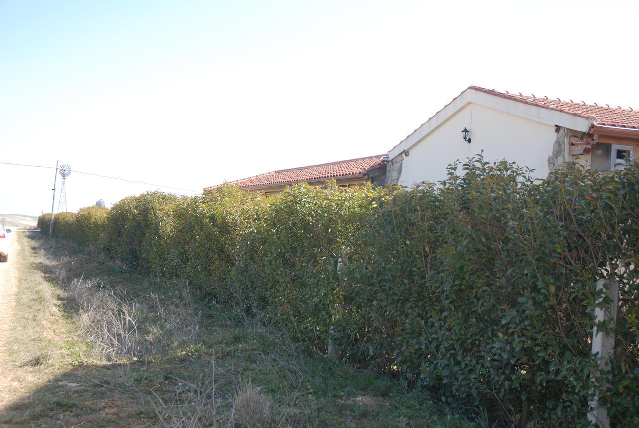 Casa Rural Teso De La Encina Villamor de los Escuderos Eksteriør bilde