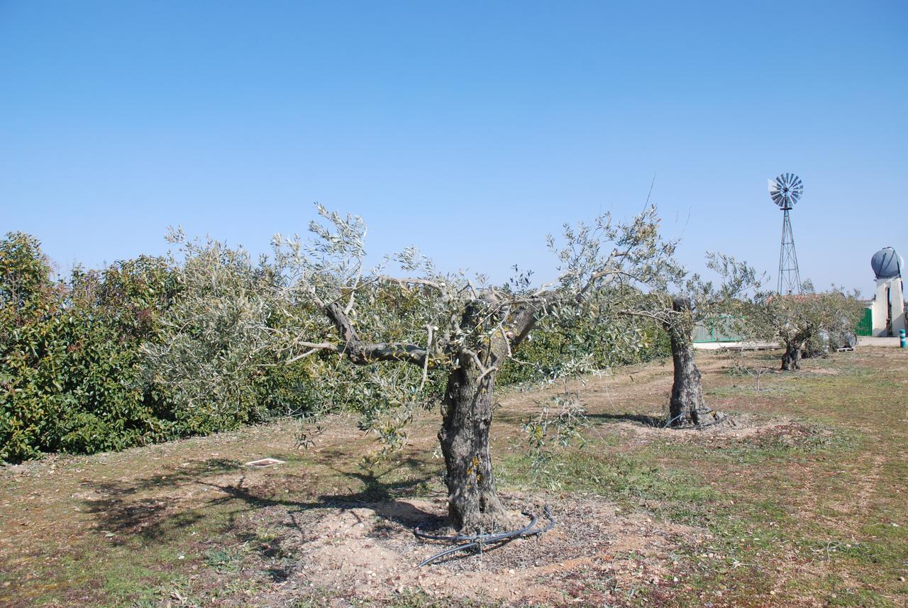 Casa Rural Teso De La Encina Villamor de los Escuderos Eksteriør bilde