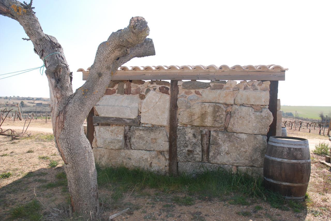Casa Rural Teso De La Encina Villamor de los Escuderos Eksteriør bilde